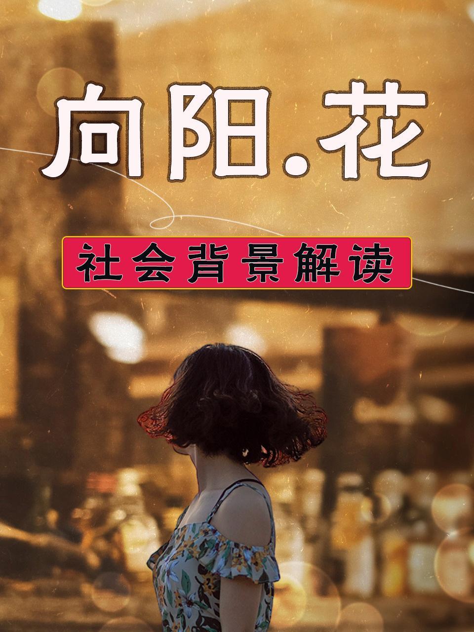 向阳花社会背景解读}