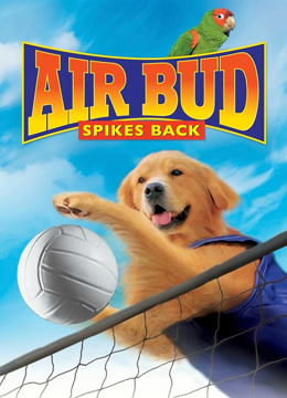 飞狗巴迪5排球健将}