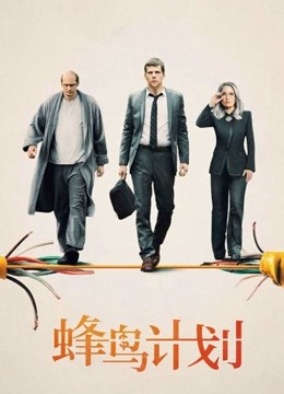 蜂鸟计划}