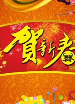 北京BT第五季春晚}