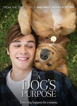 一条狗的使命普通话版}