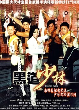黑道少林}