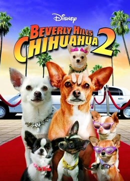 比弗利拜金狗2}