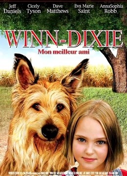 都是戴茜惹的祸}