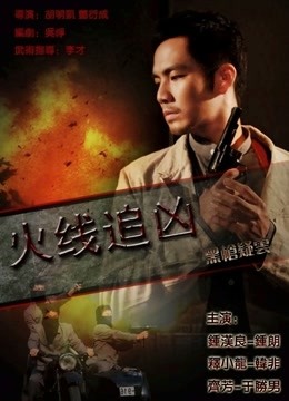 火线追凶之黑枪疑云}
