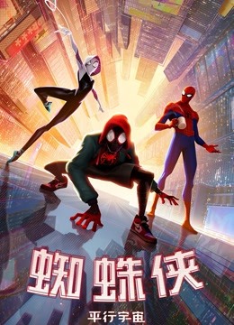 蜘蛛侠平行宇宙}