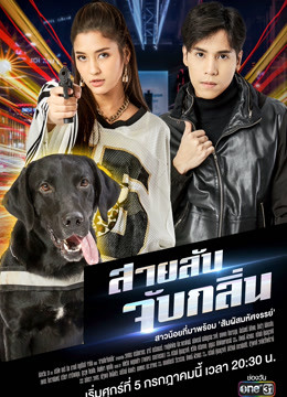 侦探K9普通话版}