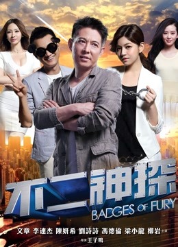 不二神探粤语版}