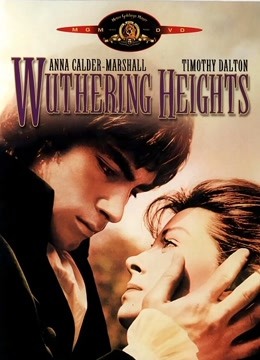 呼啸山庄1992}