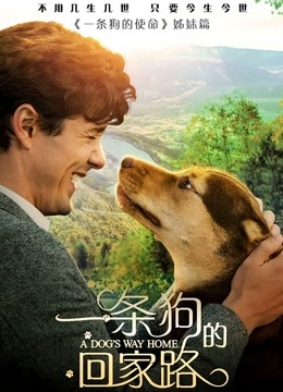 一条狗的回家路}