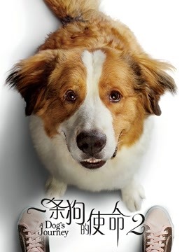 一条狗的使命2}