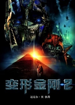 变形金刚2普通话版}
