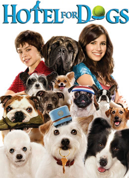 狗狗旅馆}