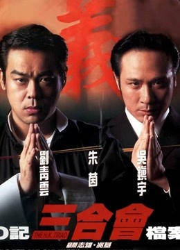 O记三合会档案}