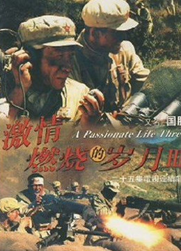 激情燃烧的岁月3}