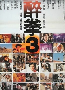 醉拳3粤语版}