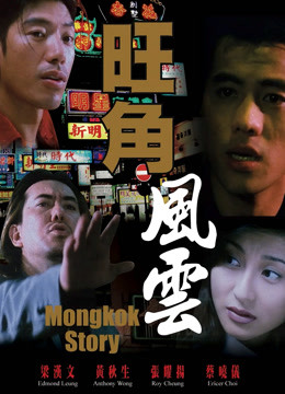 旺角风云}