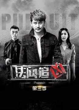 法网追凶第三季}