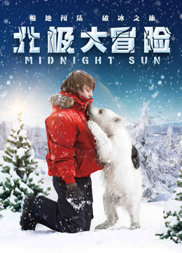 北极大冒险普通话版}