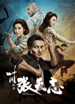 叶问外传张天志}