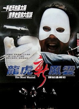龙虎新风云粤语版}