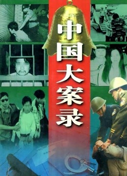 中国大案录}
