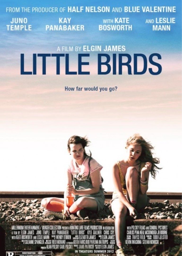 我们是一群小小鸟}