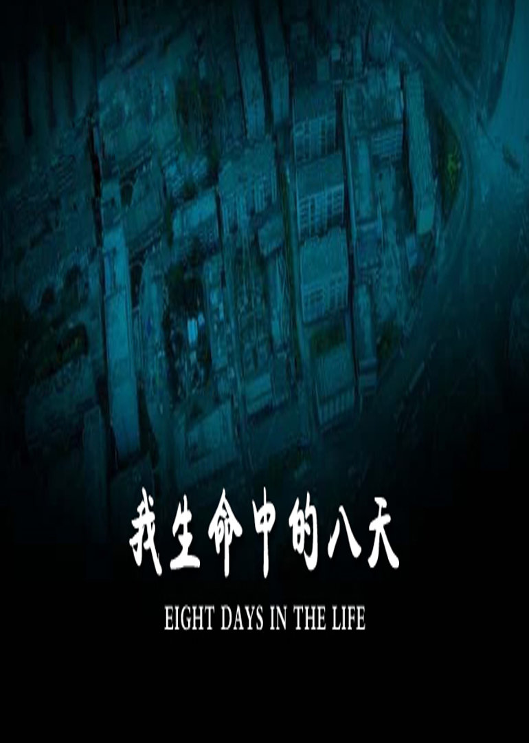 我生命中的八天}