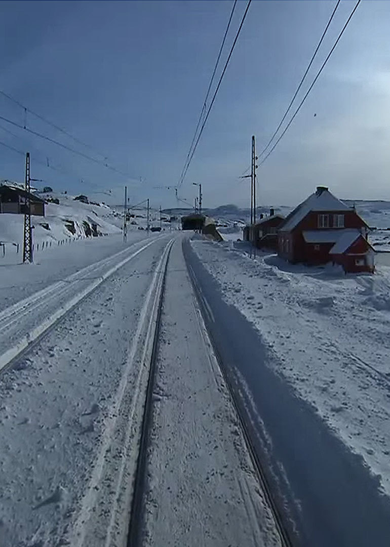 流行慢T第五季你喜欢哪一种}