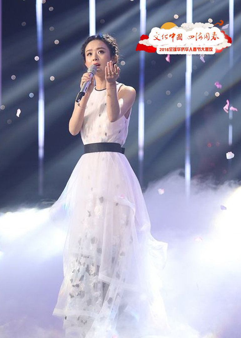 2016华人华侨春晚}