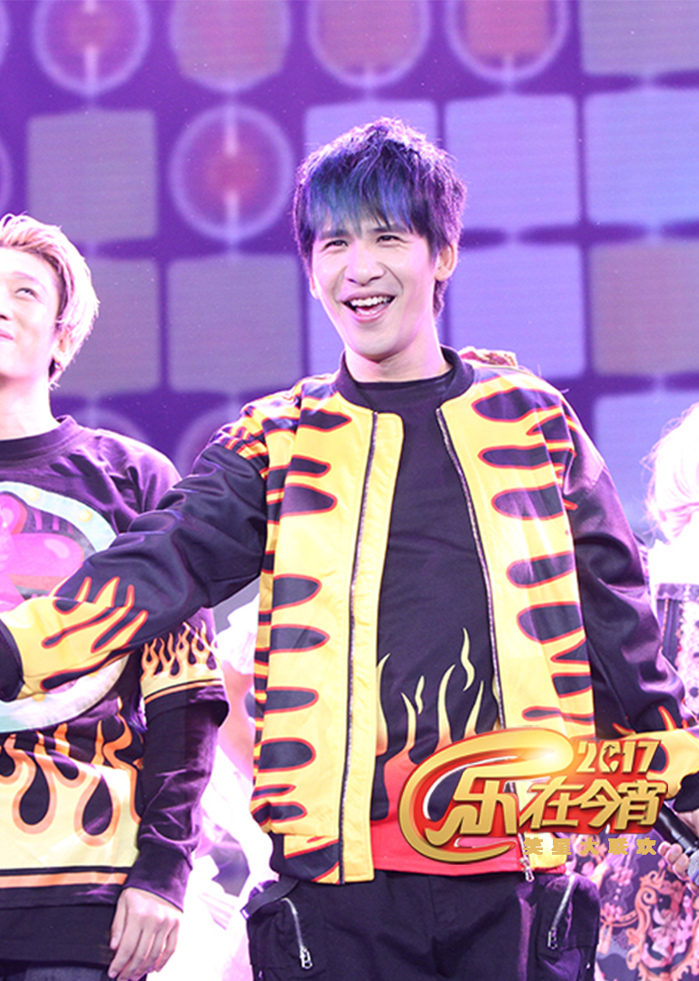 2017鸡年湖北卫视春晚}