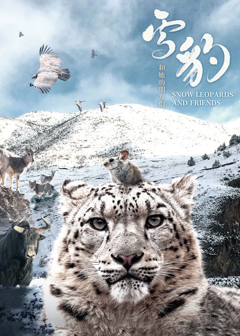 雪豹和她的朋友们}