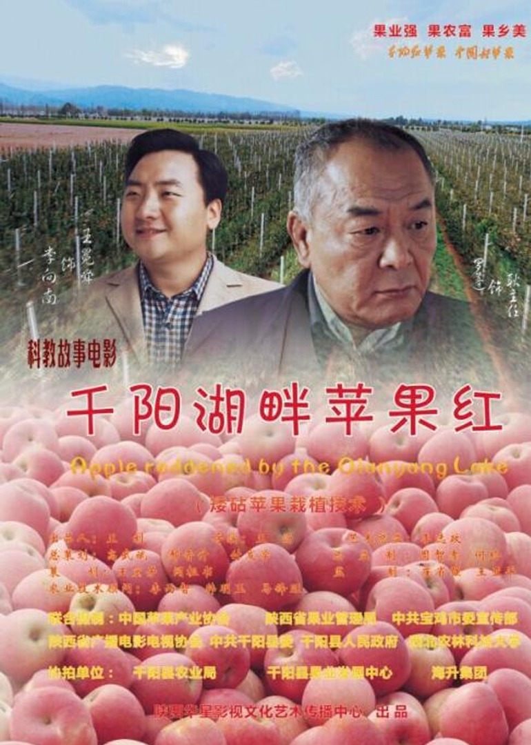 千阳湖畔苹果红}