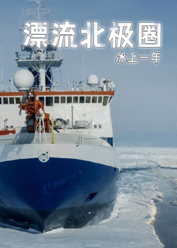 漂流北极圈：冰上一年}