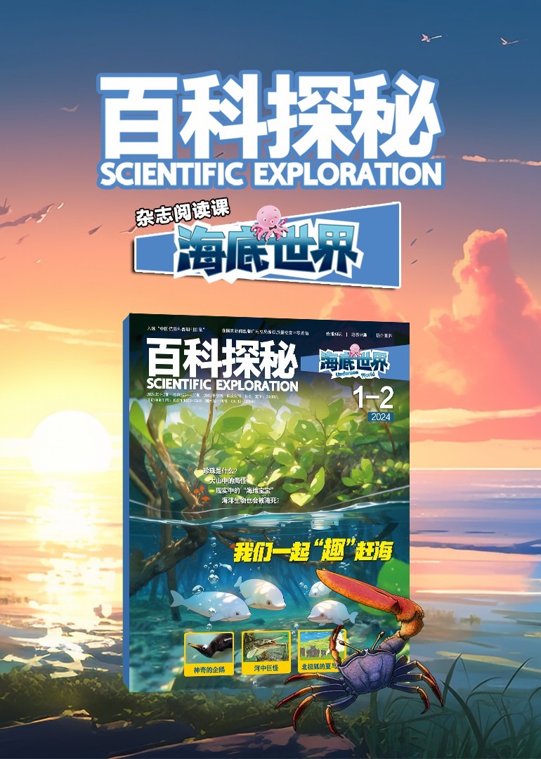 百科探秘海底世界杂志阅读课}
