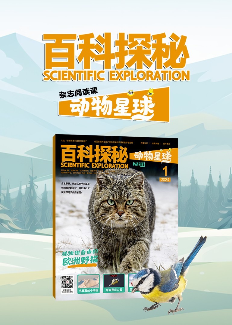 百科探秘动物星球杂志阅读课}