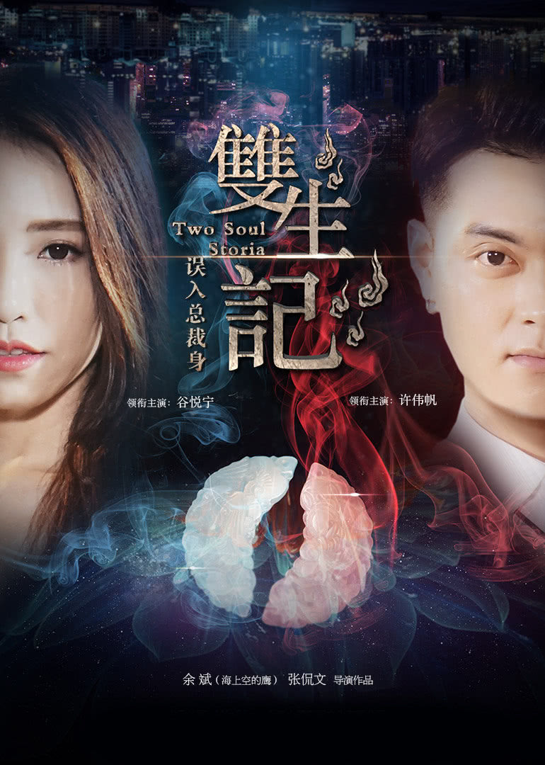 双生记之误入总裁身}