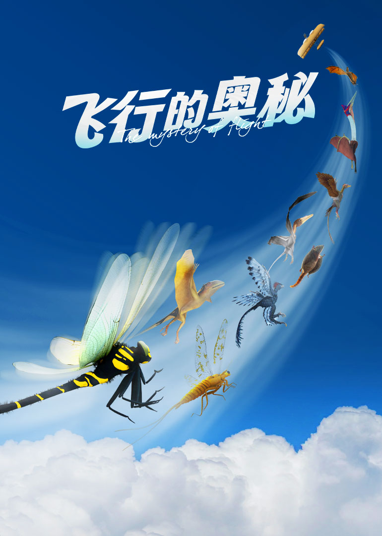 飞行的奥秘}