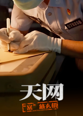 天网：“案”藏玄机}