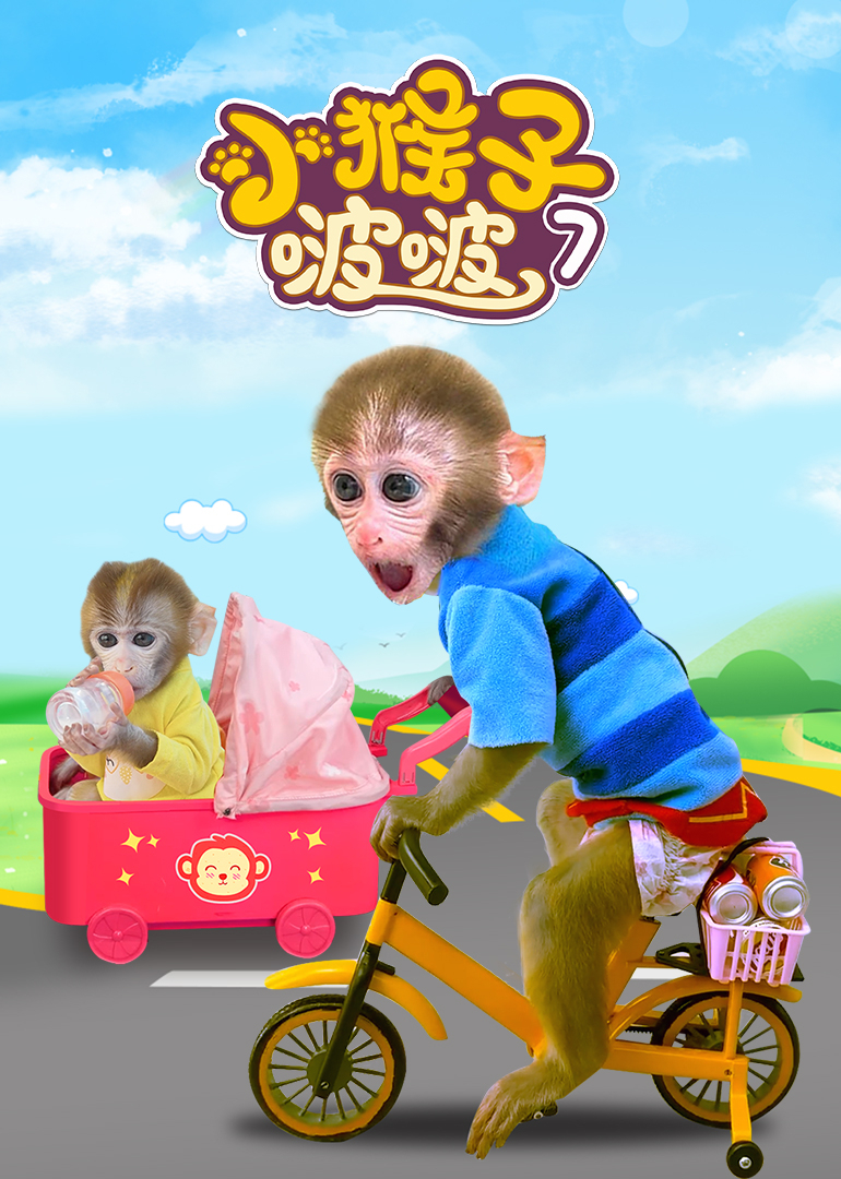 小猴子啵啵第七季}