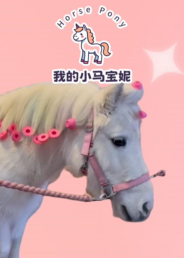 我的小马宝妮}