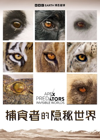 捕食者的隐秘世界}