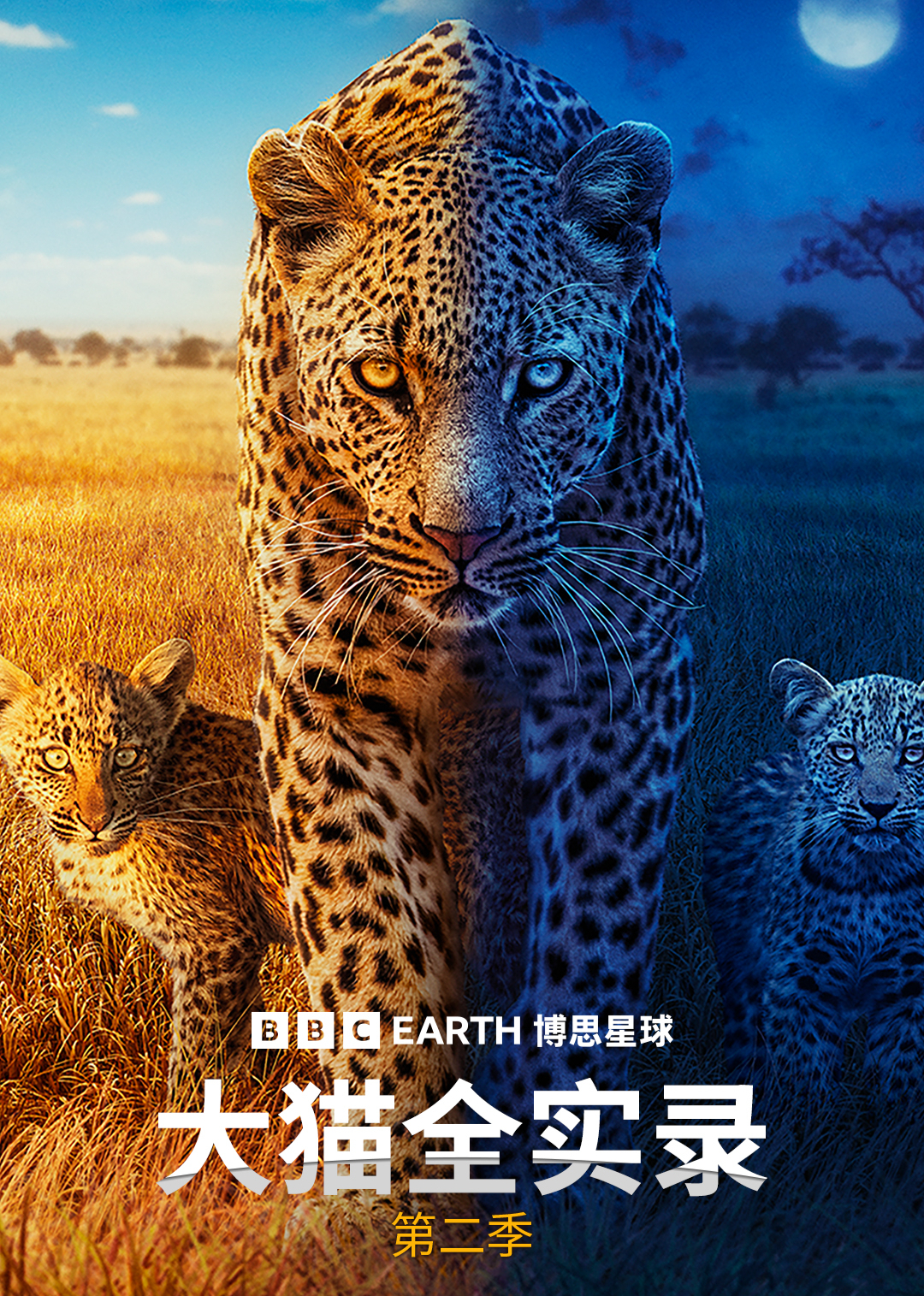 大猫全实录第二季英文版}