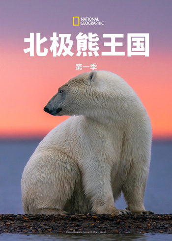 北极熊王国第一季}