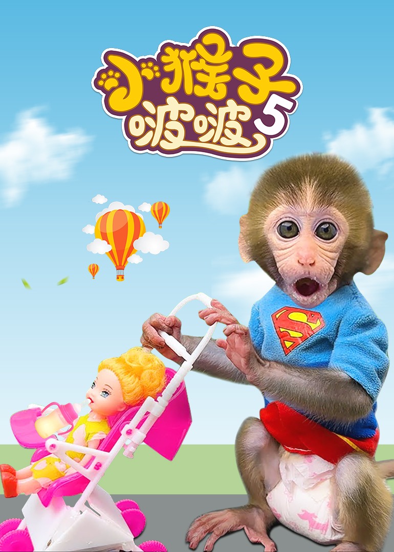 小猴子啵啵第五季}