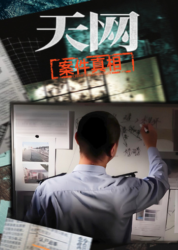 天网：案件真相}