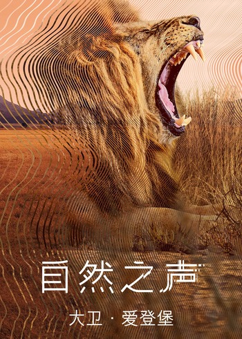 自然之声普通话}