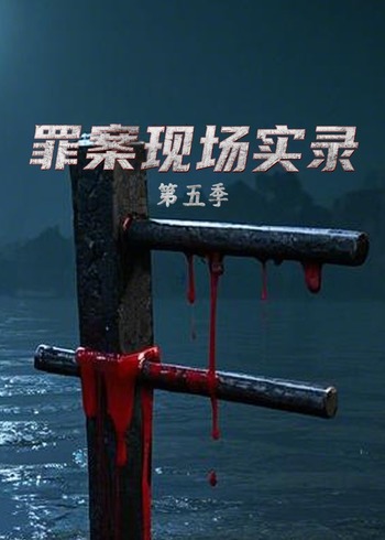 罪案现场实录第五季}