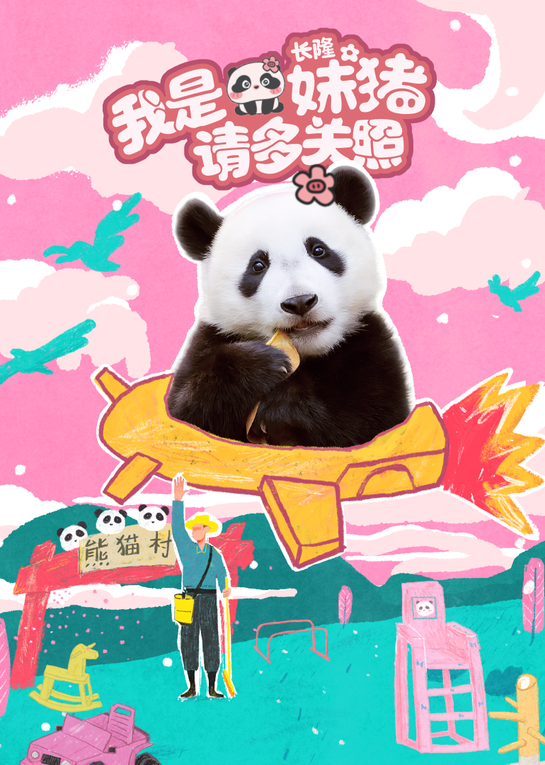 我是妹猪请多关照}