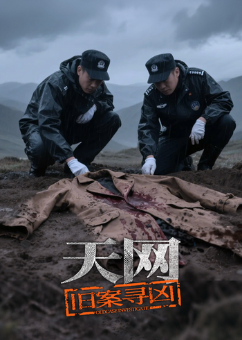 天网：旧案寻凶}